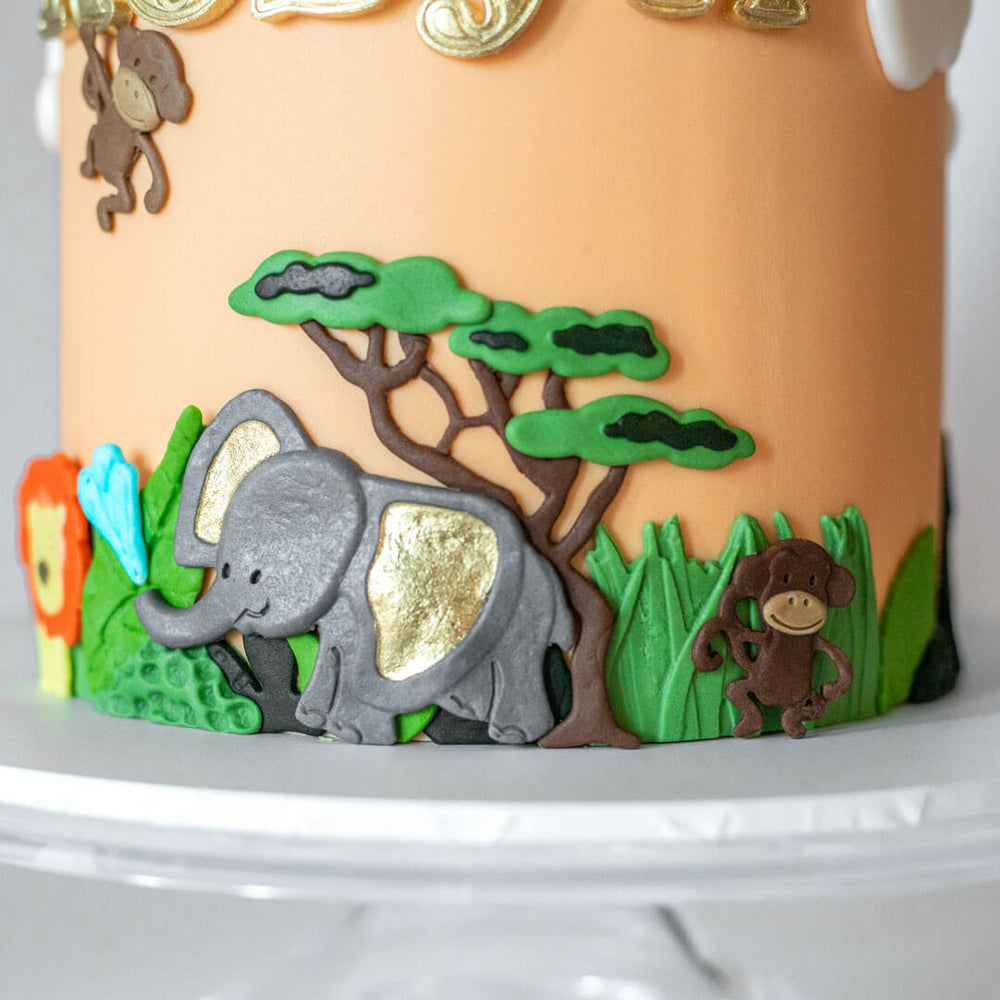 Animal & Jungle Safari